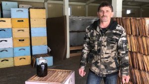 500+ Методы лечения нозематоза и аскосфероза