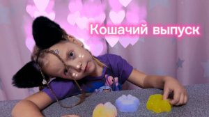 Кошачий выпуск, кошачьи ушки, лапки 😻 игрушки мялки и слайм