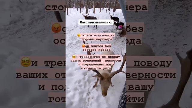 ПРИВЯЗАННОСТЬ? #амаляасатурян #абьюз #психологияотношений #зависимость
