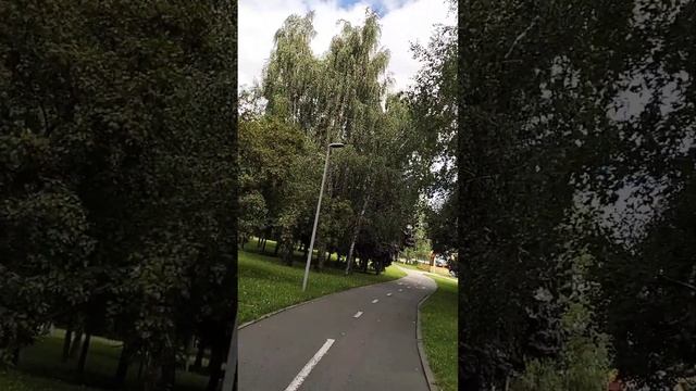 КРУИЗ КОНТРОЛЬ ПОКАТУШКИ НА ЭЛЕКТРОСАМОКАТЕ Aovo m 365 Pro #shorts