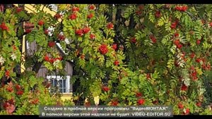 По бугоркам-Стас Смоликов