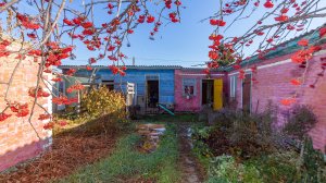 Гауф д., уч. 22