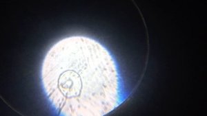 Микроскоп| Пыль