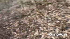 Хатсан 125 охота февраль 2020