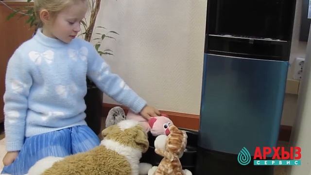 Кулер для воды с поилкой для животных или как пить воду домашним питомцам?