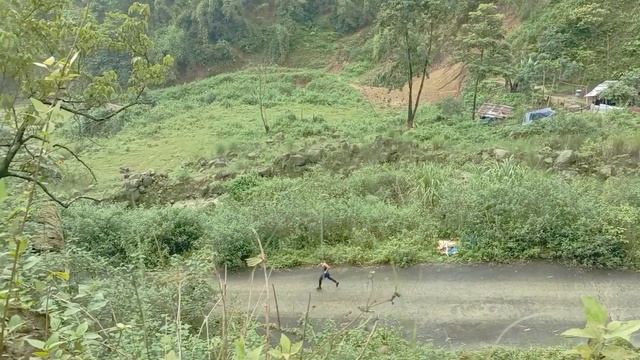 Evening Walk🏃At The Top Of The Hills🎋 смотреть онлайн