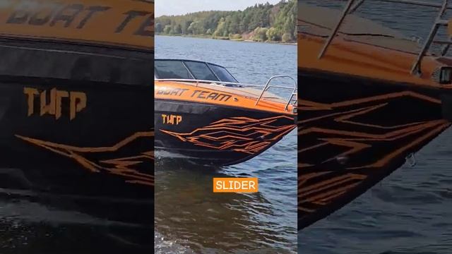 Что за Лев этот Тигр? КАТЕР Slider #shorts #boating