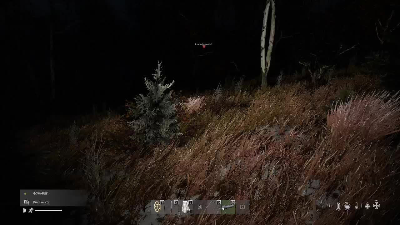 DayZ