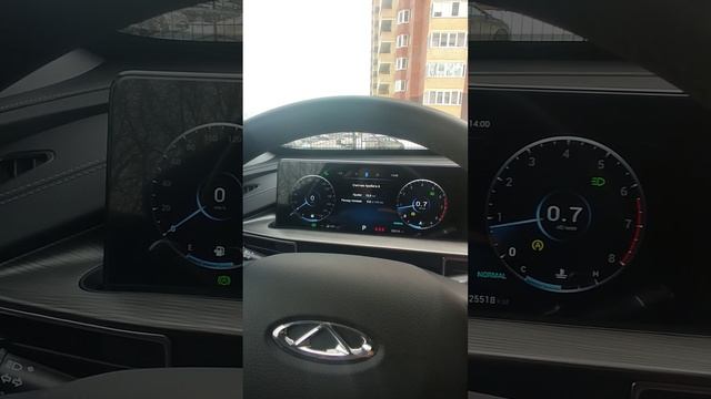 пробег спустя год чери Тигго 8 про макс #chery #cherytiggo8promax #отзывспустягод#отзыввладельца