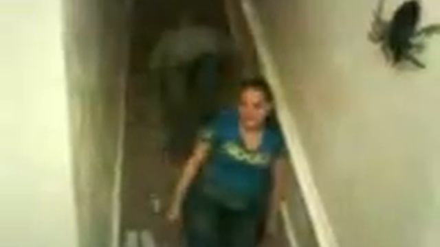 Elsiha Pissed смотреть онлайн