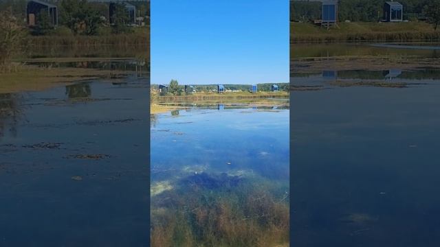 На сапборде по озеру Тосканка в Нижегородской области 🏞️ Россия 🇷🇺 #путешествие #природа #осень