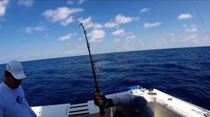 Mako Shark Release