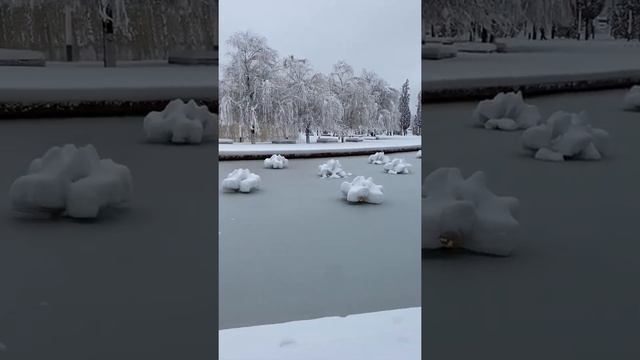 Краснодар засыпало снегом. Побиты все рекорды. В некоторых районах 70см высота сугробов