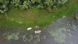 Более двух миллионов молоди муксуна и нельмы этим летом отправились во взрослую жизнь