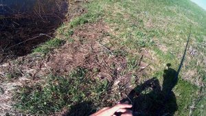 Куда поехать на рыбалку? 2 Серия. Пруд Краснознаменский (Кардаильский усынок)