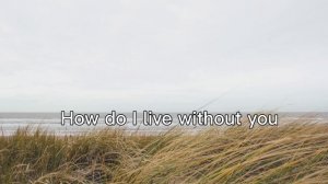 LeAnn Rimes- How Do I Live (Lyrics)