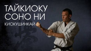 Ката Тайкиоку Соно Ни