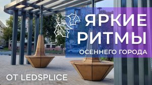 Осенняя прогулка по Бульвару Новаторов в СПБ: городское благоустройство от LedSplice