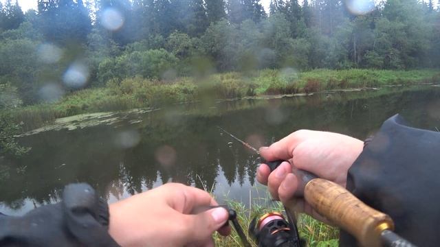 По малым рекам с микроджигом.Здесь есть крупная ЩУКА