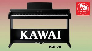 KAWAI KDP75 цифровое пианино