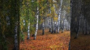 У порога © Copyright: Бронислав Сычёв, 2021 Свидетельство о публикации №121082902983