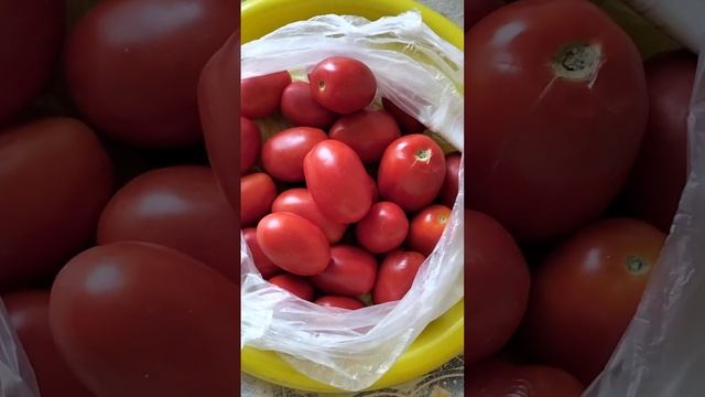 СЛИВОВИДНЫЕ ПОМИДОРЫ ПО УДАРНОЙ ЦЕНЕ ИЗ АШАН #shorts
