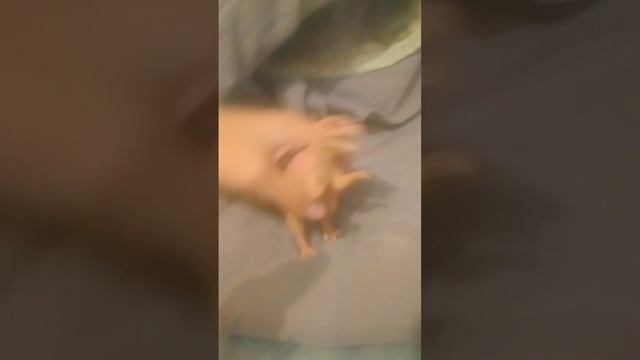 Очень реально смешное видео😂🤦👍💪