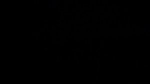 Chery Tiggo 2. Удаление ключа сервиса.