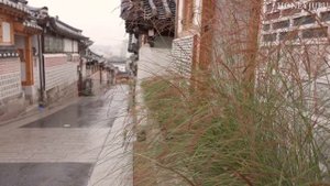 Экологически чистый Салим, использование пищевой соды _ Процедура без отходов