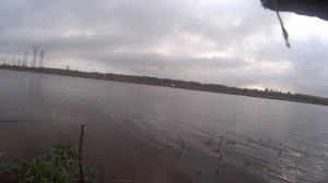 волхов хороший лещ