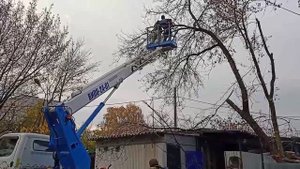 Удаление деревьев с автовышки