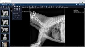 Intro Keystone Omni | BluePearl Telemedicine | Veterinary Image Management Software