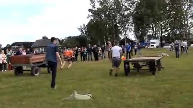 Силовая эстафета смотреть онлайн