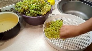 Изюм в электросушилке | Кишмиш Гелиодор