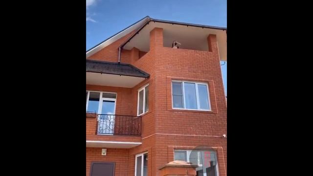 Sasha Zotova dancing "Las Quesadillas" смотреть онлайн