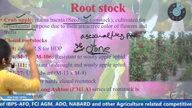 Apple Cultivation | Important Facts | Varieties | AFO | NABARD | HDO | FCI