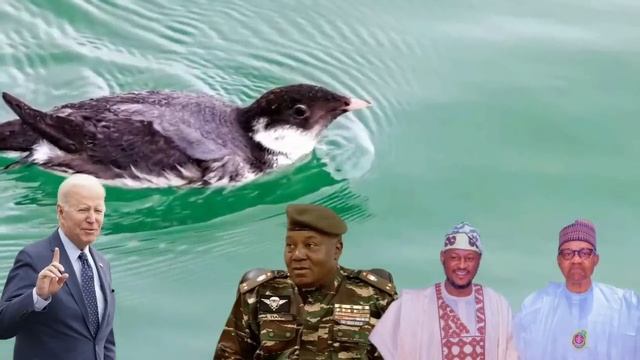 🇳🇪+🇺🇸 America 🇺🇸 ta Roki Gwamnatin Niger 🇳🇪 Ayi Sulhu Kada a kore Sojojin su Daga Niger 🇳🇪 смотреть онлайн