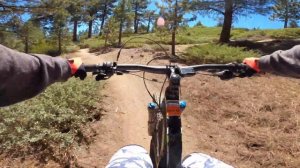 MOUNTAIN BIKING in Big Bear | Skyline Trail from TOP to BOTTOM