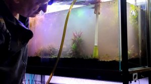 аквариум на земле 180л