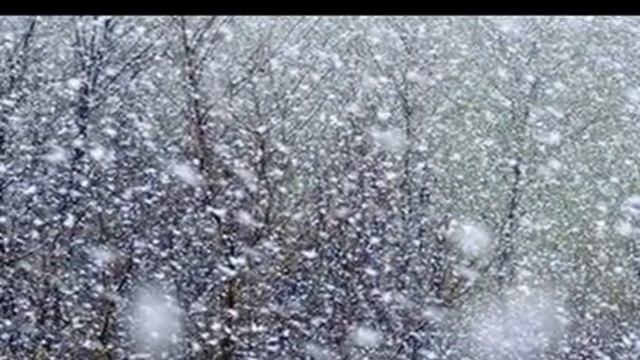 Я зажгу в душе своей свечу, Стихи Наталья Юмагужина, муз. и исп. #СамуилФрумович смотреть онлайн