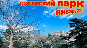 воронцовский парк HQ