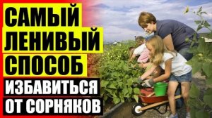 ⚫ ПОДКОРМКА ПЕРЦЕВ СЕЛИТРОЙ ⚫ ТОРНАДО ОТ СОРНЯКОВ ИНСТРУКЦИЯ ПО ПРИМЕНЕНИЮ ОТЗЫВЫ