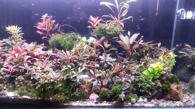 улучшаем фильтрацию смотреть онлайн