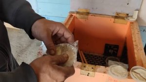 500+ Тестирование геля с муравьиной кислотой.