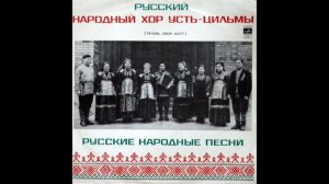 Народный хор села Усть-Цильмы - Во поле, во поле, в широком раздолье (игровая)