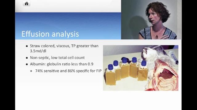 Feline Infectious Peritonitis: A Review and Update - conference recording смотреть онлайн