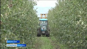 «Сад-Гигант Ингушетия» яхача предприяте тахкар сомий хьал