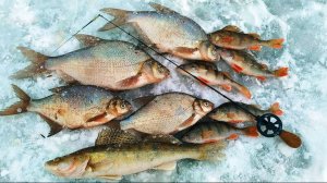 БЕЗНАСАДКА РУЛИТ !!! Ежегодный фестиваль по ловле на безнасадку.