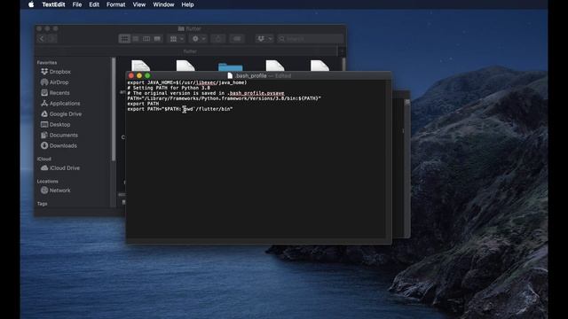 Flutter Mac Setup: Install Flutter SDK on MacOS by Few Steps смотреть онлайн