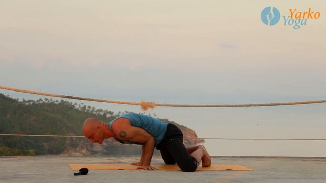 Маюрасана видео различных вариантов сложности.Йога для начинающих.Ярослав Лукашевич смотреть онлайн
